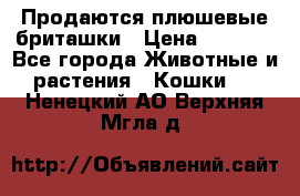 Продаются плюшевые бриташки › Цена ­ 2 500 - Все города Животные и растения » Кошки   . Ненецкий АО,Верхняя Мгла д.